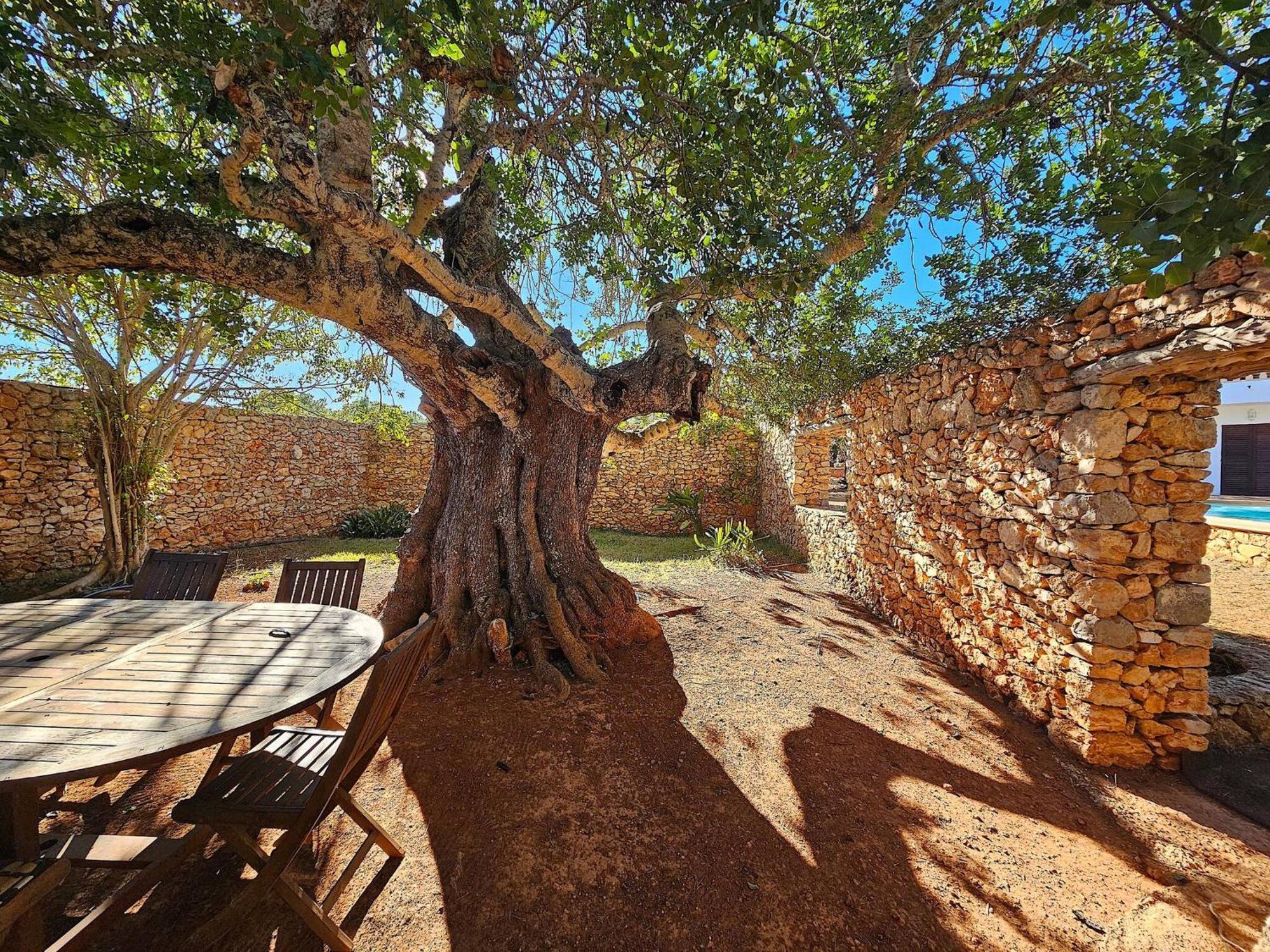 Cala Jondal "Can Amanaya" San José Dış mekan fotoğraf